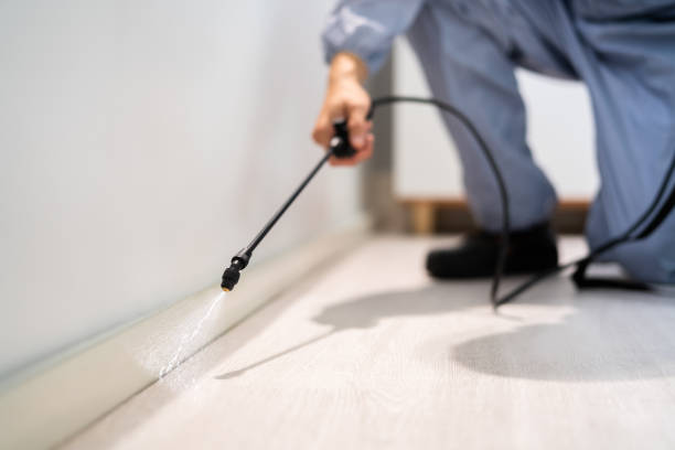 Licensed Mosquito Control service in Sapulpa, OK - Show Me Pest Control