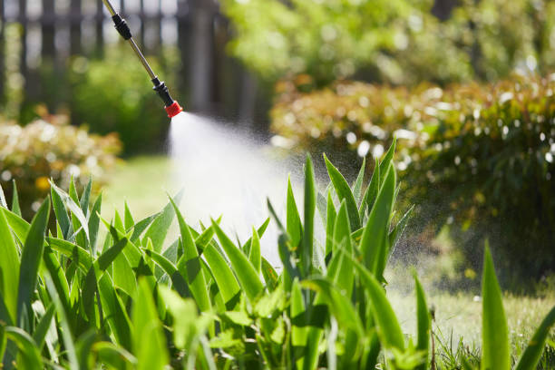 24/7 Emergency Mosquito Control experts in Sapulpa, OK