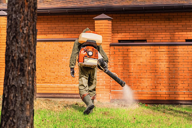 Top rated local Mosquito Control specialists in Sapulpa, OK